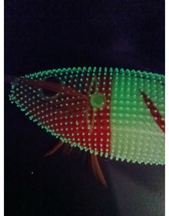 Kaptan Balık ve Av Malzemeleri San. Tic. Ltd. Şti