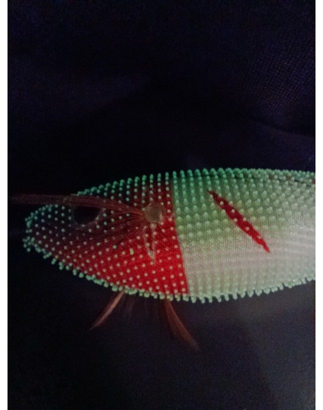 Kaptan Balık ve Av Malzemeleri San. Tic. Ltd. Şti