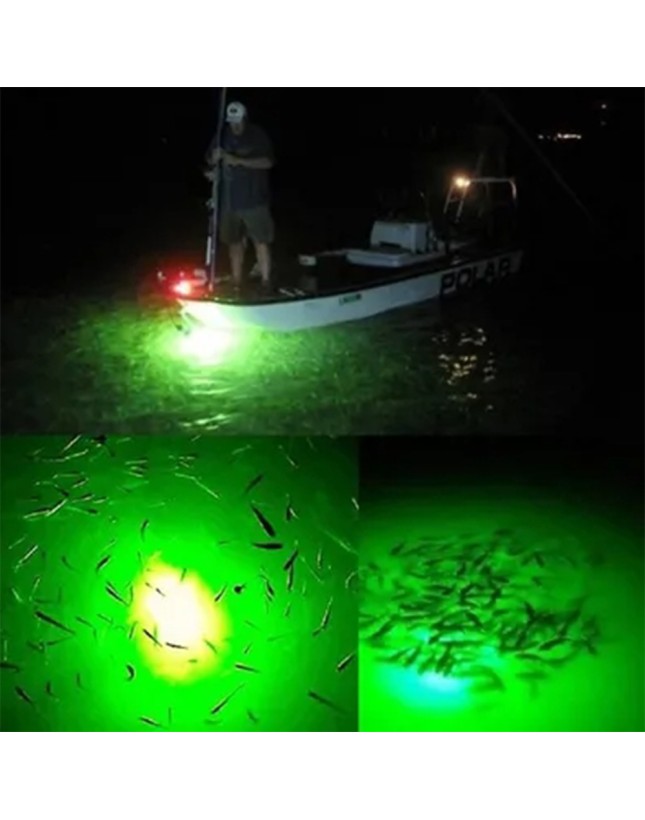 Kaptan Balık ve Av Malzemeleri San. Tic. Ltd. Şti