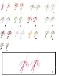 Hayabusa SE 125 Tai Rubber Free Slide Yedek Etekli Assist İğne Set