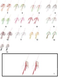 Hayabusa SE 125 Tai Rubber Free Slide Yedek Etekli Assist İğne Set