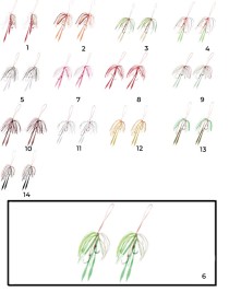 Hayabusa SE 125 Tai Rubber Free Slide Yedek Etekli Assist İğne Set