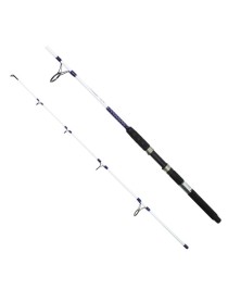 Captain 1418 Moonstar Boat 2 Parça Tekne Kamışı 150gr Atar