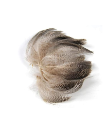 Captain Çapari Tüyü Poşette 5gr Horoz Tüyü