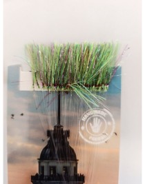 İstavrit Kösteği UV-GLOW Simli Youvella Kartonda 50 İğne 0.15 mm Köstek