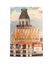 İstavrit Çaparisi UV-GLOW Simli 10 İğneli Kolay Açılan Çapari 0.25mm Beden x 0.15mm Köstek