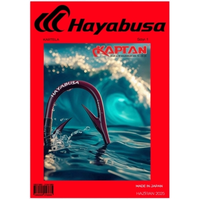 HAYABUSA.jpg